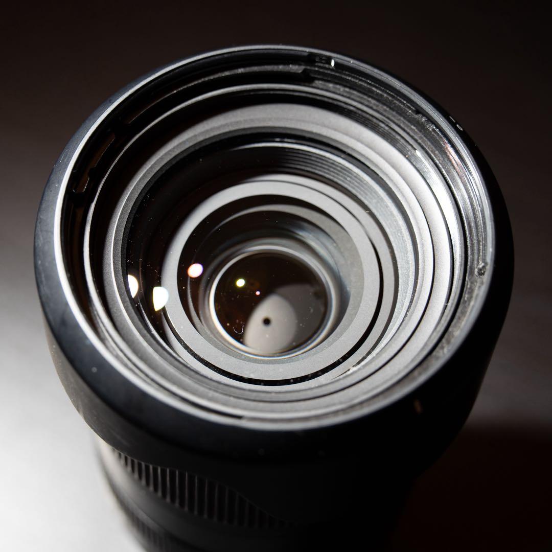 TAMRON 28-200mm F/2.8-5.6 Eマウント