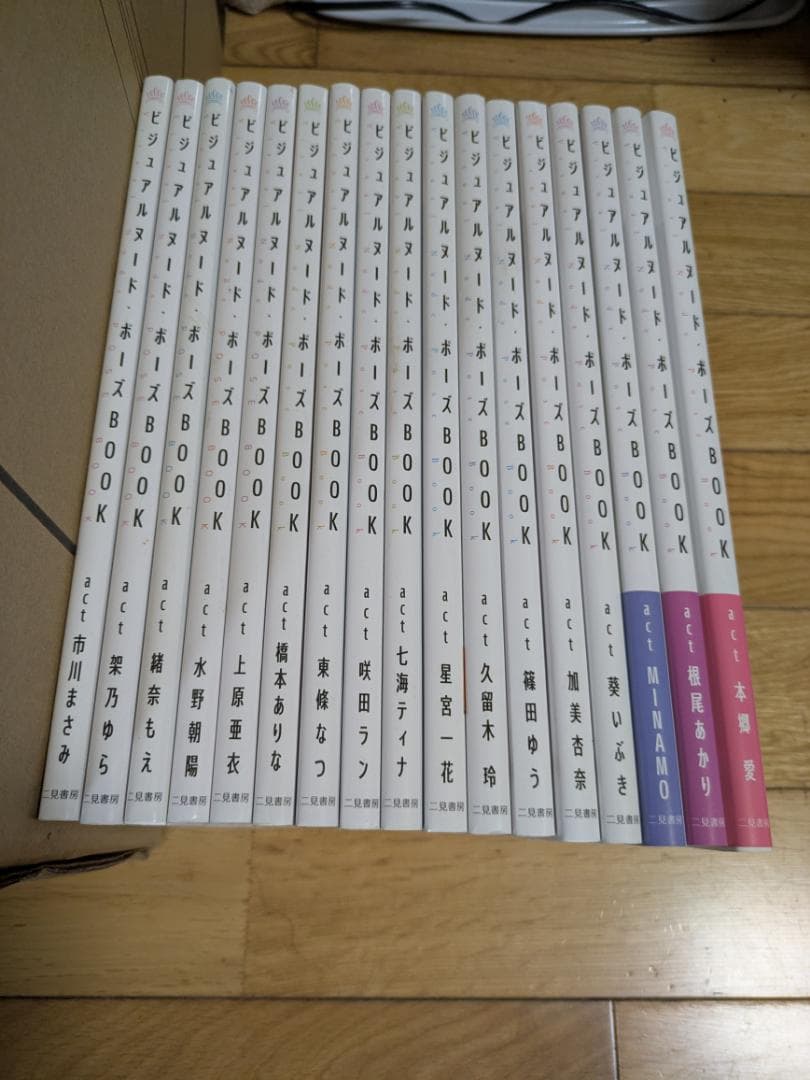 ビジュアルヌード・ポーズ BOOK １７冊セット