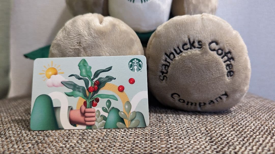 どんぐり様専用【ベアリスタ】抱っこサイズ・スタバマレーシア/25周年