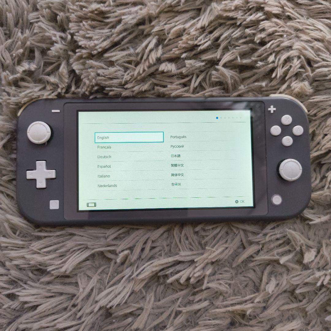 Nintendo Switch Lite グレー 本体 ACアダプター付き Nintendo Switch Lite グレー 本体 ACアダプター付き - メルカリ