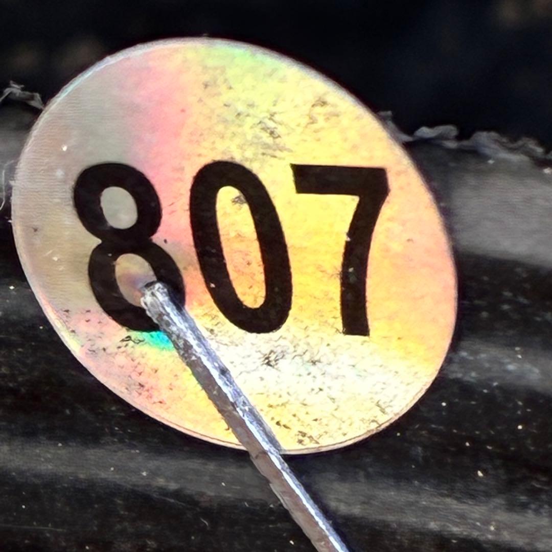 ば*な様 ☘️ラスト2☘️超希少☘️根充実❤️沢山新芽❤️807【イリュージョン