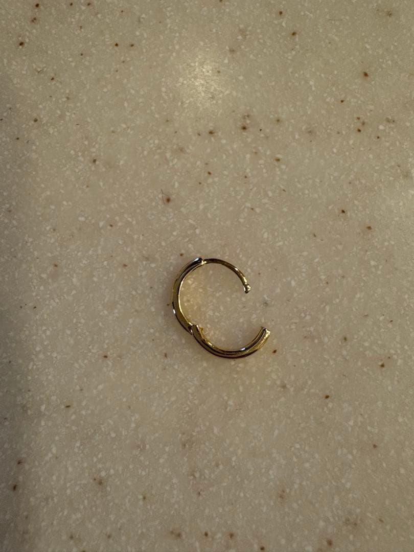 lani様限定】 BETTINA JAVAHERI フープピアス(片耳)