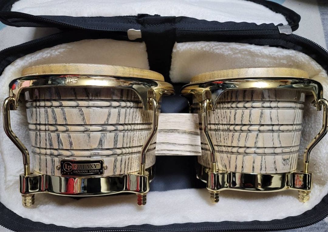 ジョバンニイダルゴ シグネイチャーボンゴ プロラケケース付きの通販は