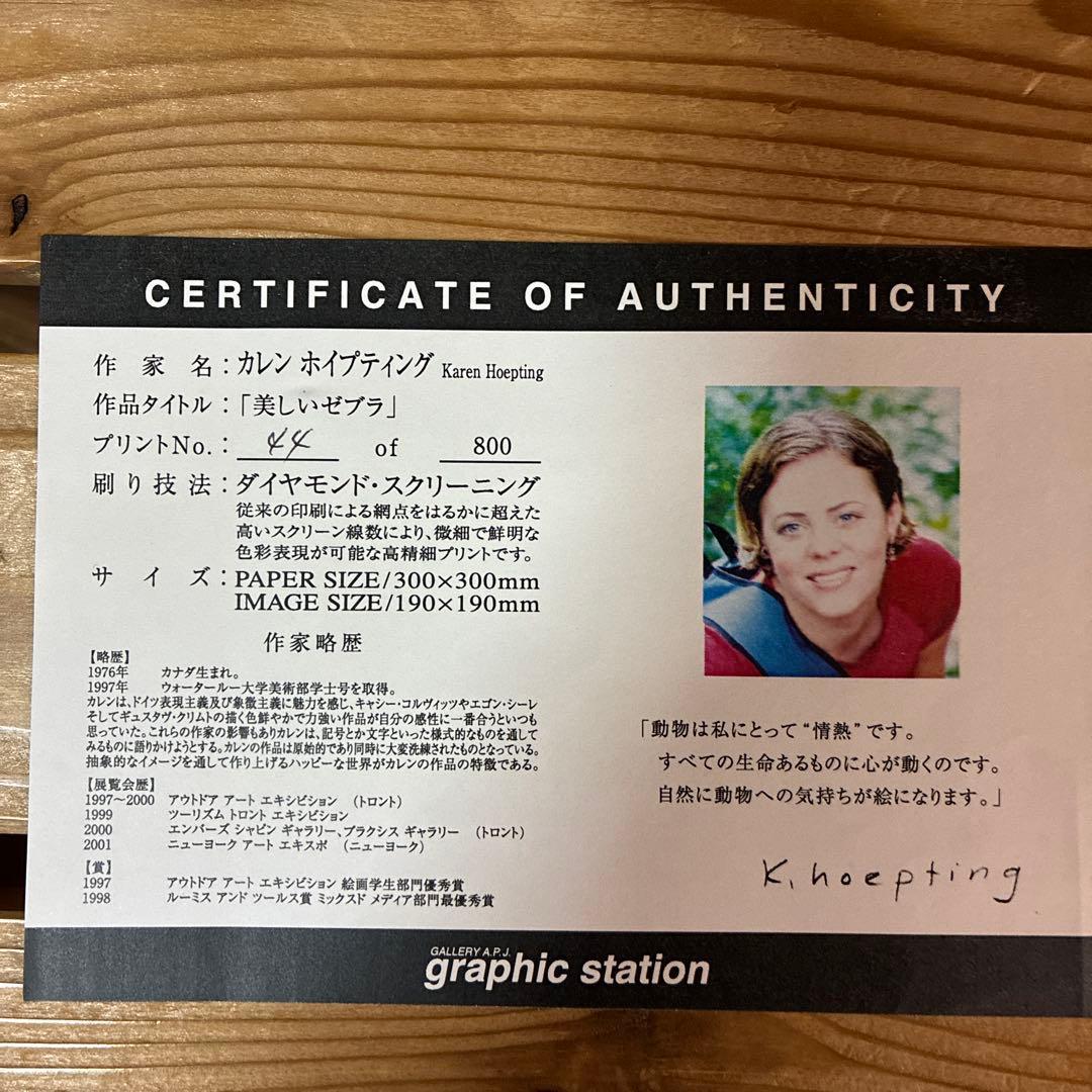 Karen Hoepting カレンホイプティング　 美しいゼブラ