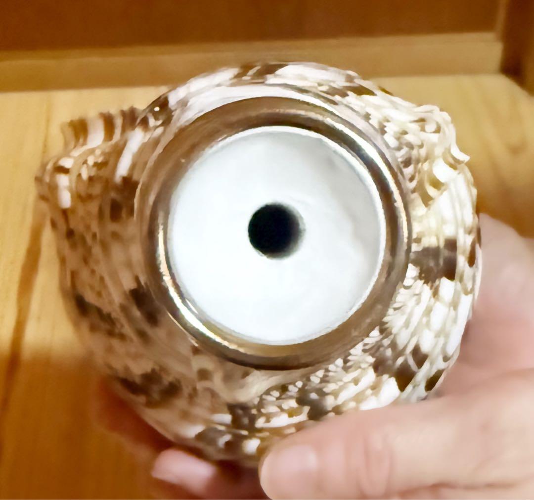 コンパクト修験道法螺貝 山伏 密教 魔除け 熊よけ❣️ホラガイ ほら貝