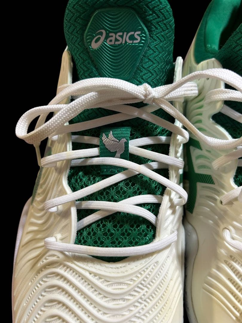 asics コートff ジョコビッチモデル　25.5cm