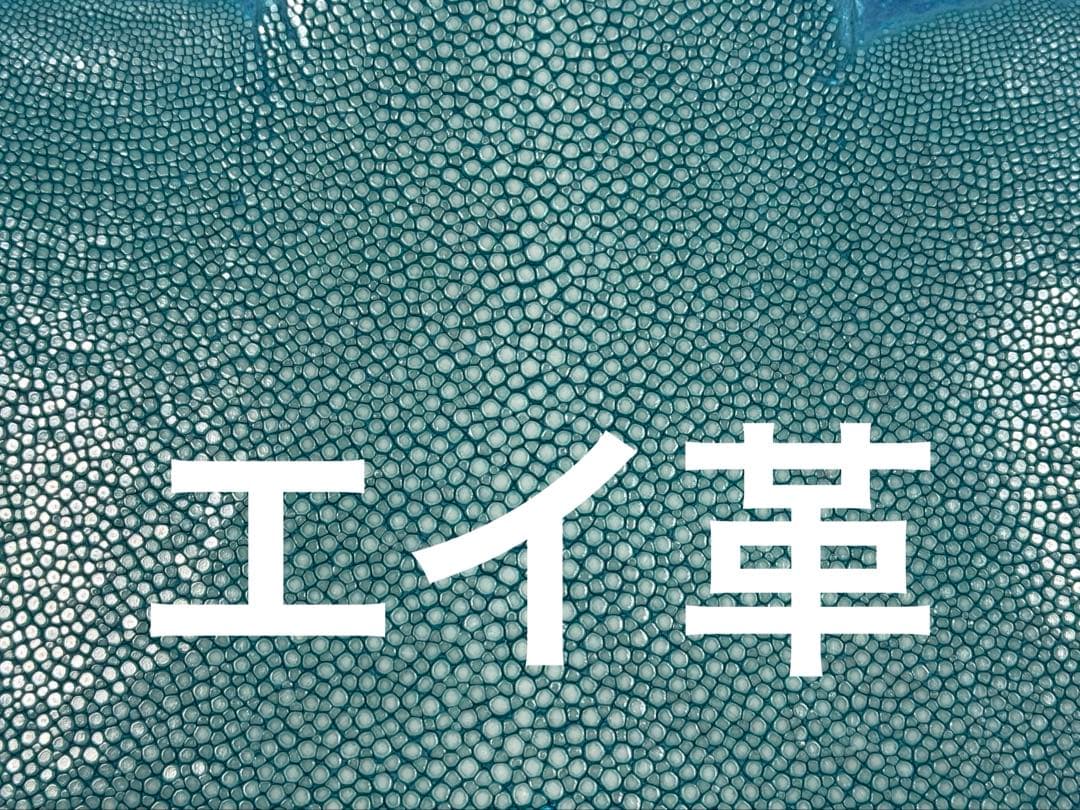 Sakanaページです!