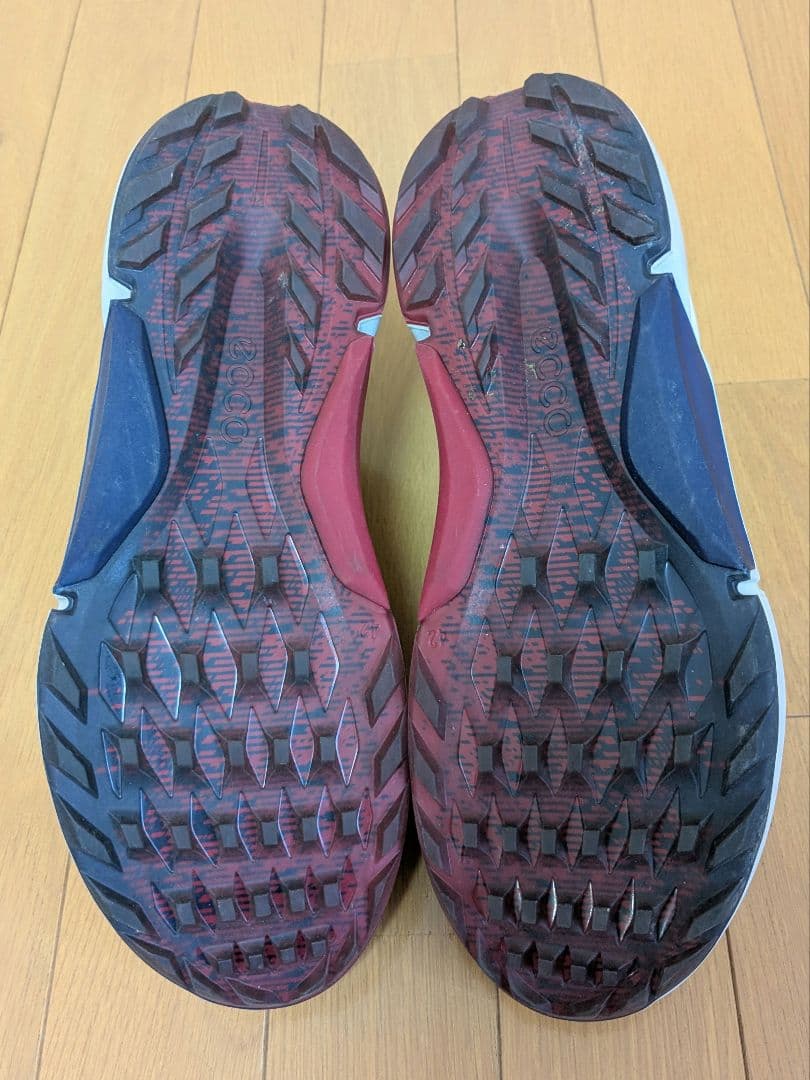 エコー☆ECCO☆ゴルフ☆バイオム☆BIOM H4☆ 26.0cm☆超美品