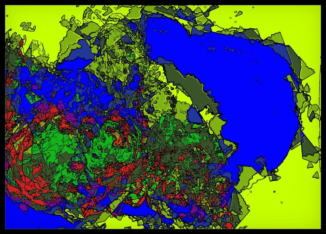 Kunpei_yamanashi　デジタルプリント  Chameleon Kunpei_yamanashi デジタルプリント Chameleon Kunpei_yamanashi