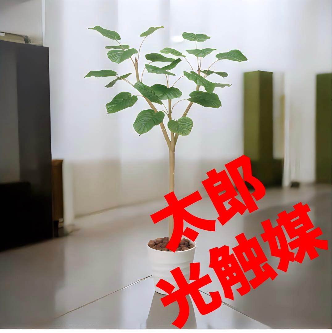 光触媒　人工観葉植物　ウォールグリーン　フェイクグリーン　ウンベラータ1.8p 水やり不要 ウンベラータ フェイクグリーン 造花 人工 観葉植物 室内