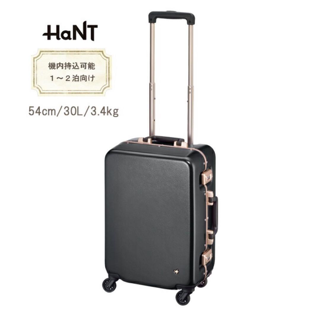 【ACE/HaNT】ラミエンヌ キャリーケース 30L ace196-main.jpg