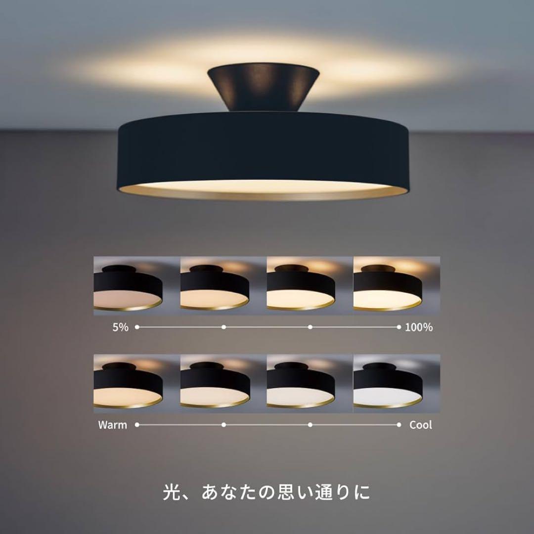 シーリングライト・天井照明 ART WORK STUDIO Glow 5000 -ceiling light