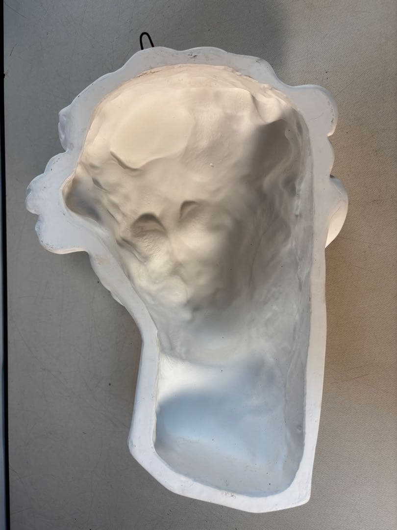 石膏像 メディチ デッサン 半面像 美術 絵画 オブジェ 彫刻 アート