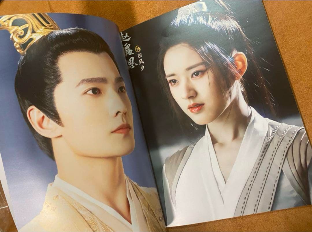 且試天下 楊洋ヤンヤン 趙露思チャオルースー写真集A4サイズ64p - メルカリ