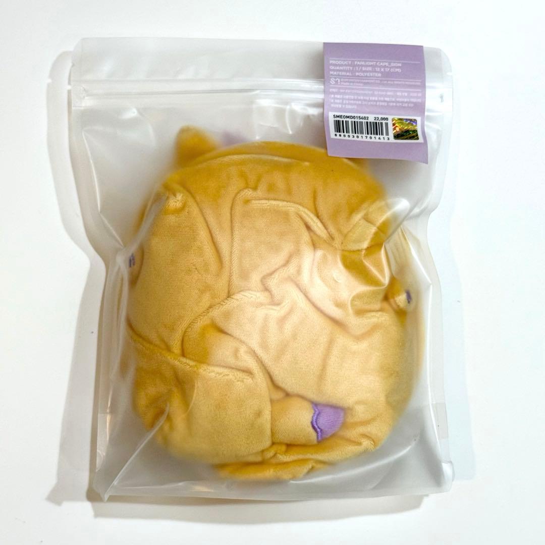 NCT WISH シオン ファンライトケープ ペンライトカバー ソウルコン