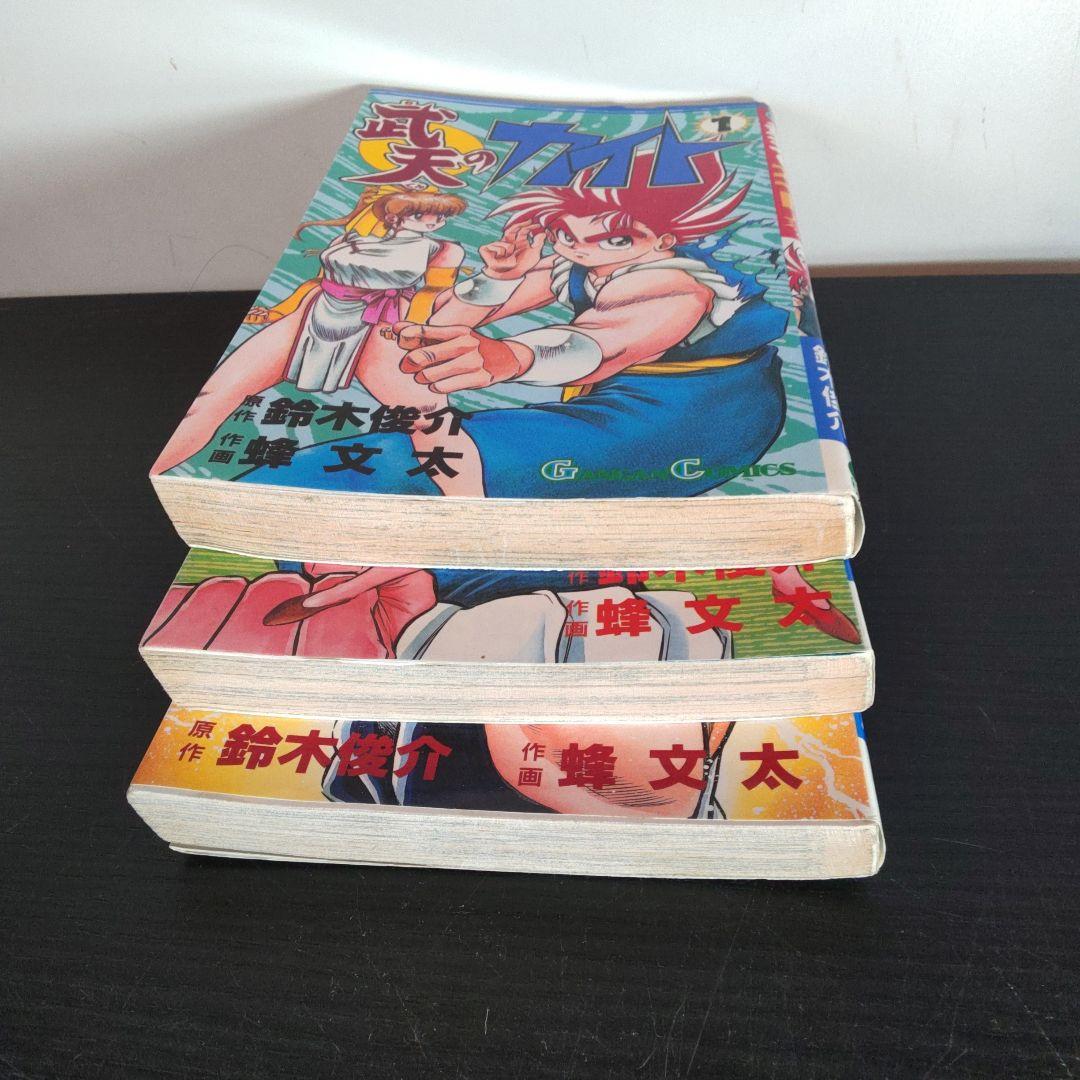 稀少 武天のカイト 全3巻完結セット ガンガンコミックス 蜂 文太