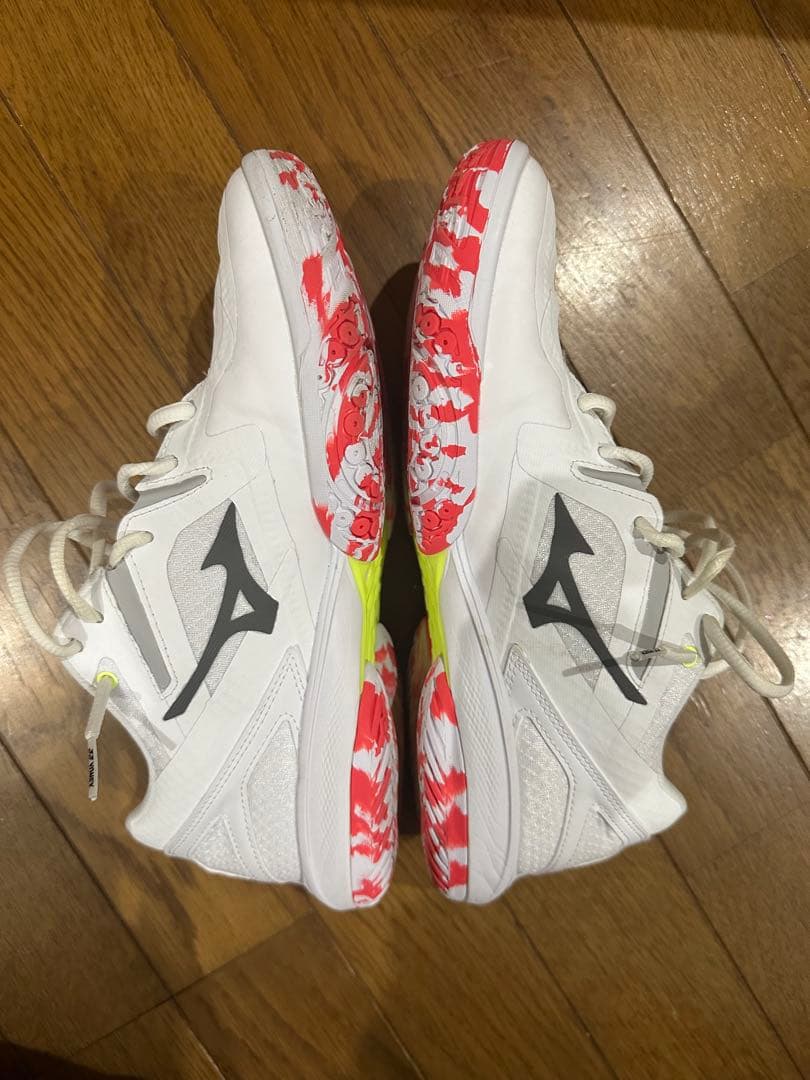 Mizuno ウェーブクロー3 バドミントンシューズ 25.5cm