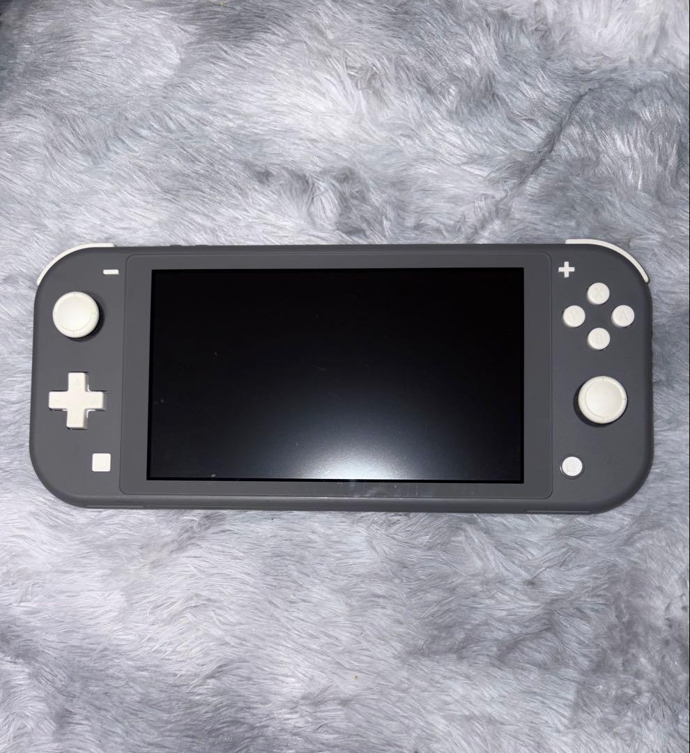 Nintendo Switch Lite グレー 本体 + ACアダプター - メルカリ