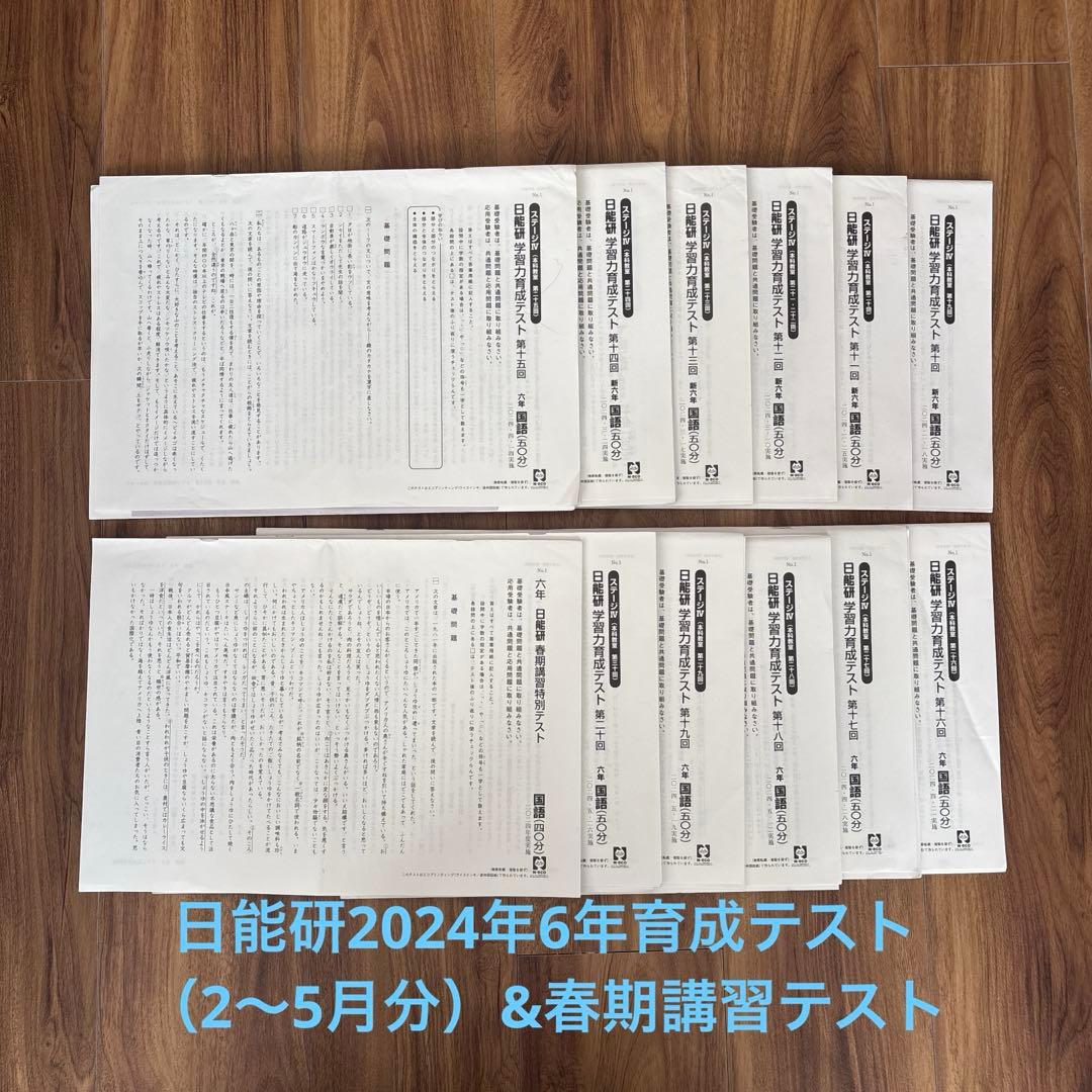 n*u様 日能研2024年 6年育成テスト&春期講習テスト 日能研】春期講習特別テスト（新6年生）結果 - ちゅりぷ子のもしかして