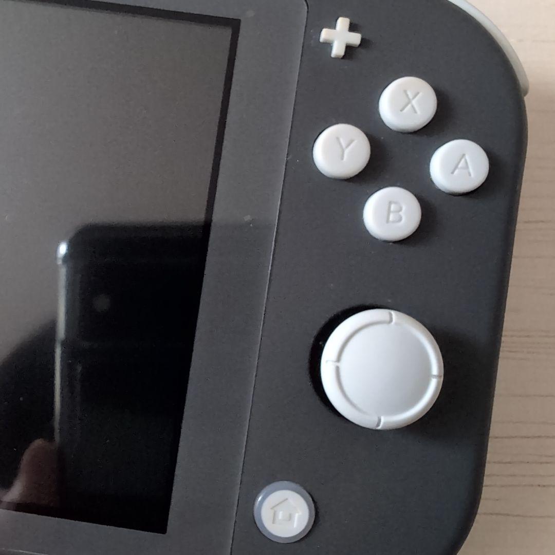 Nintendo Switch Liteグレー 本体、充電器、箱Nintendo Switch Lite