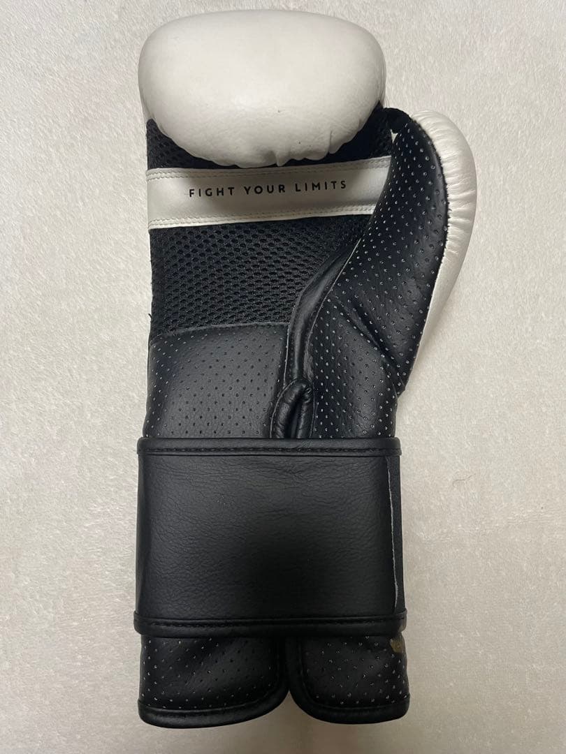 パッキャオTRNG ボクシンググローブ 8oz 直筆サイン入り右のみ - メルカリ