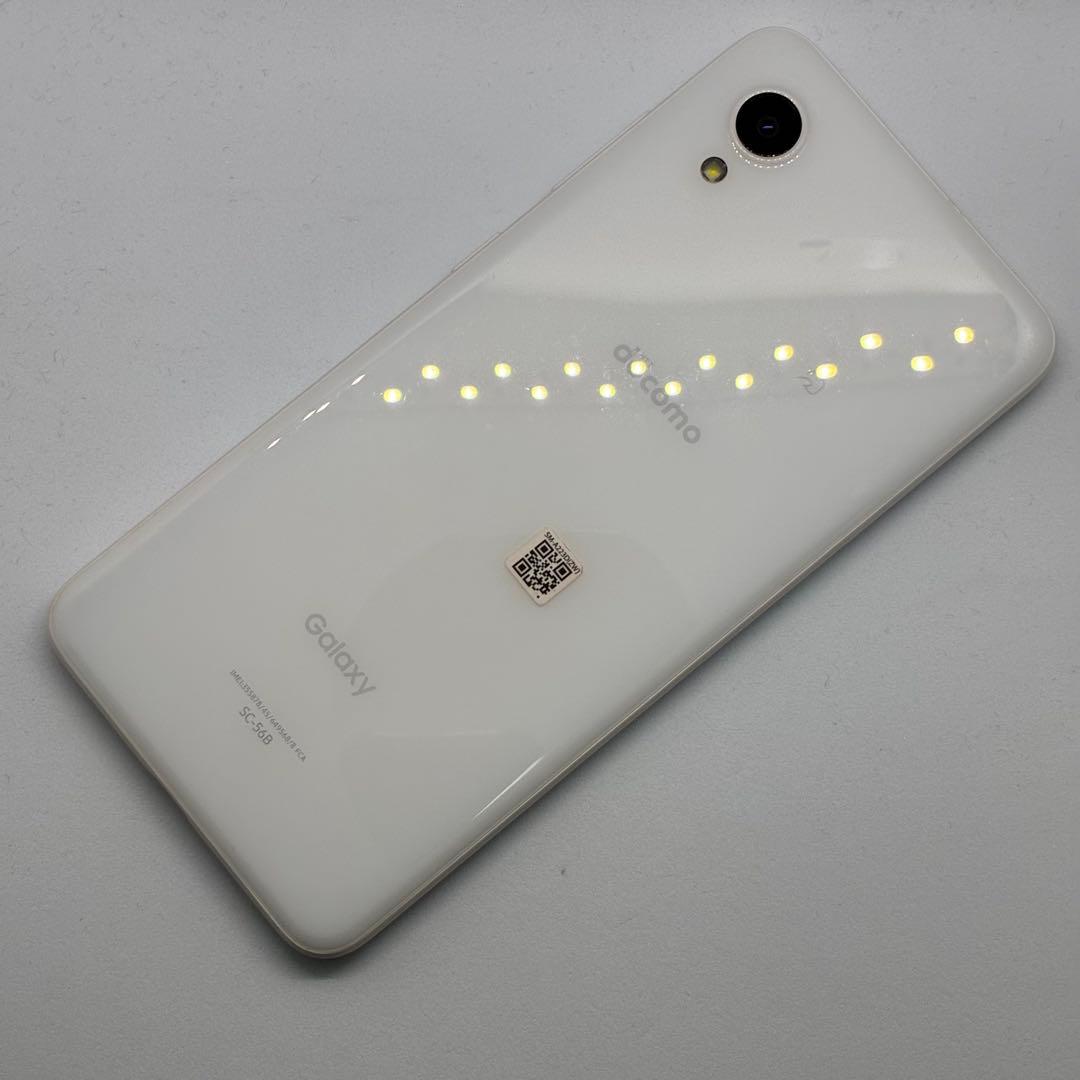 紫陽花　4台セット