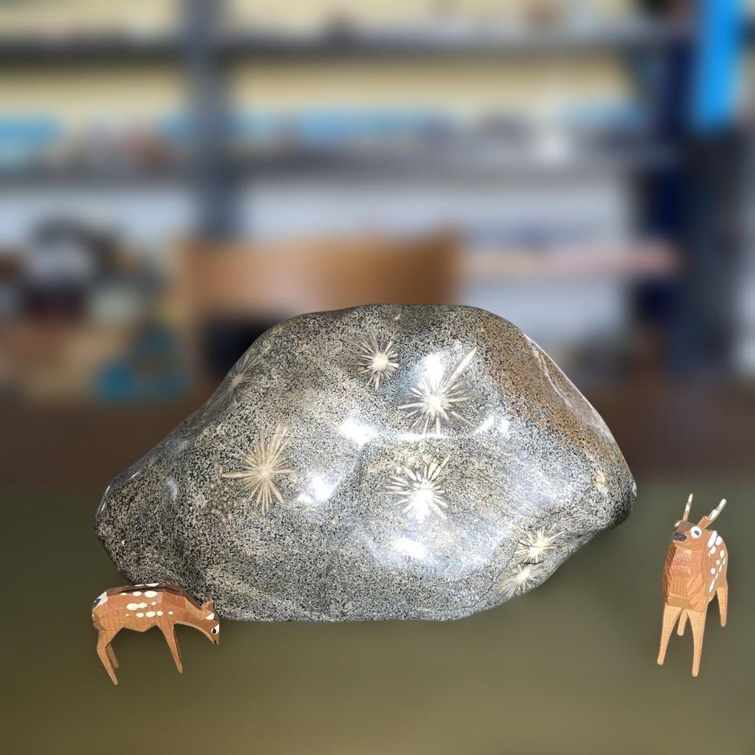 菊花石 8.6kg 鑑賞石 鉱物