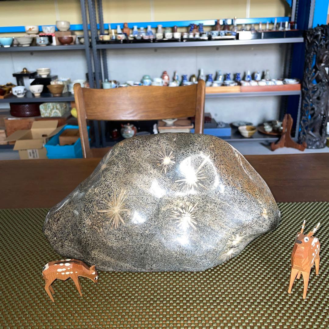 菊花石 8.6kg 鑑賞石 鉱物