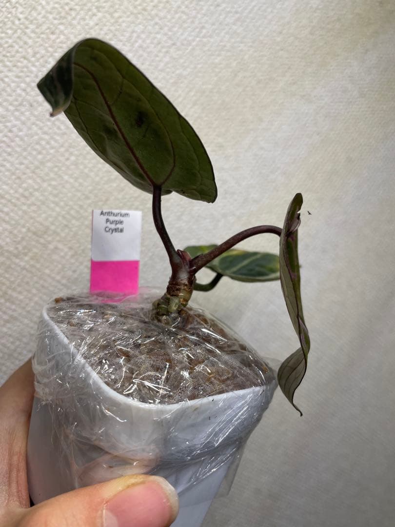 まるまる (片付け中につき価格交渉有)