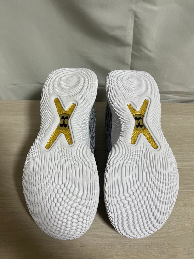 美品/試着のみ】アンダーアーマー カリー10 Young Wolf 27.