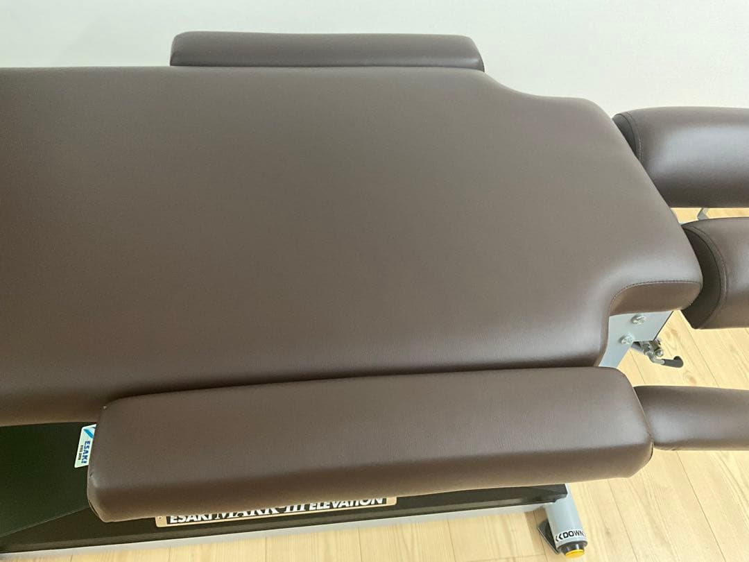 ESAKI MARKS III 昇降 カイロベッド新品張り替え済み