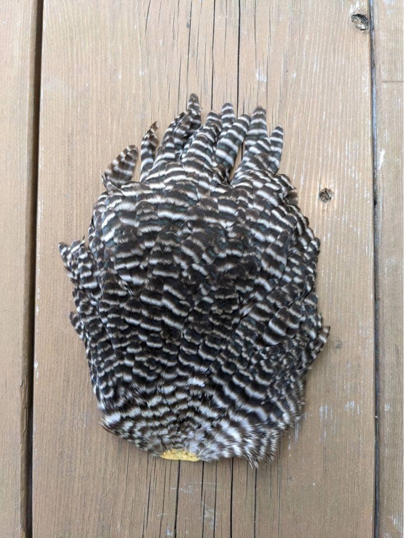 フライマテリアル フライフィッシング 釣り フライタイイング フライ