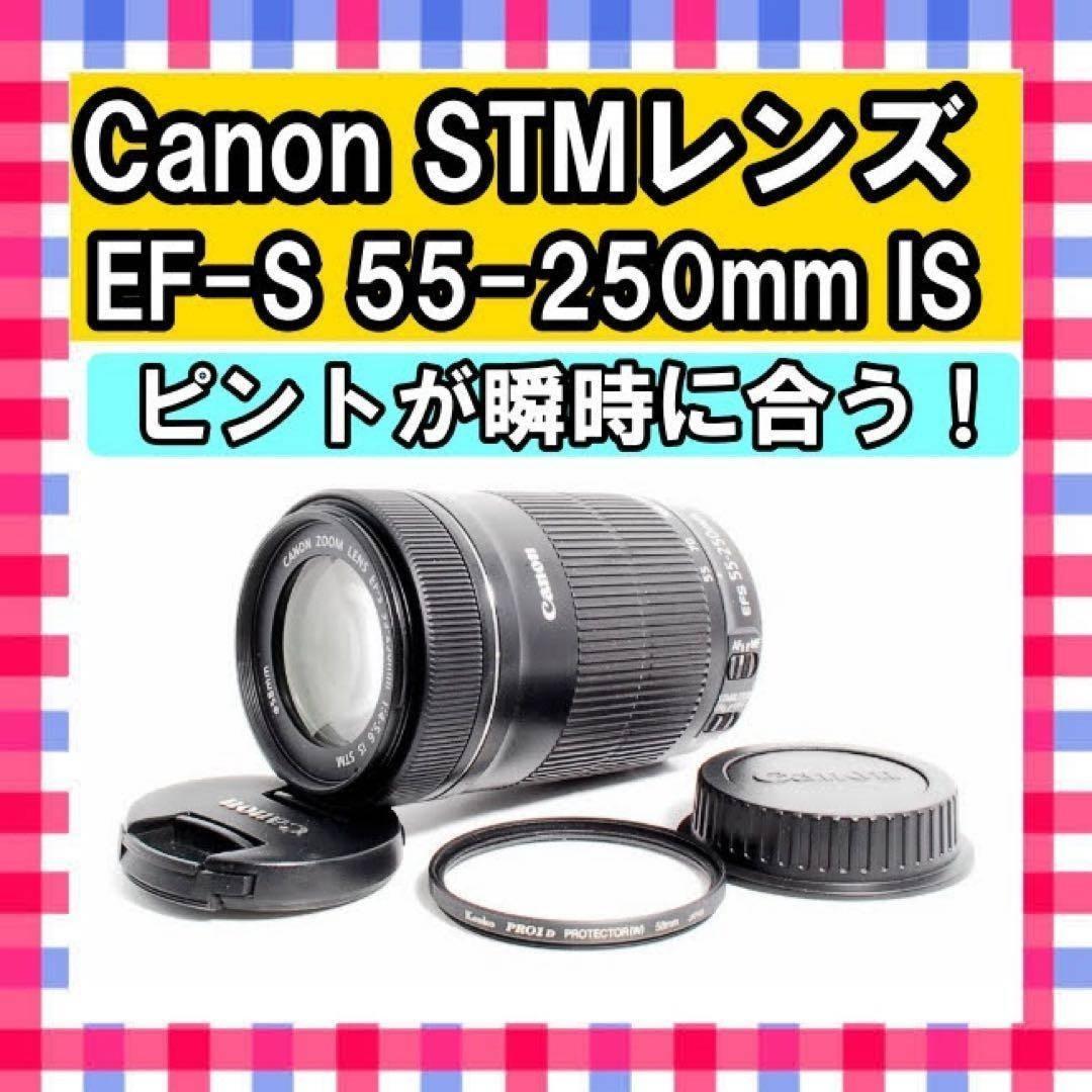 静音・高速AF❤️Canon EF-S 55-250mm STM❤️手振れ補正 静音・高速AF❤️Canon EF-S 55-250mm STM❤️手振れ補正