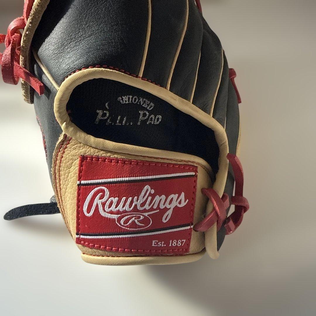 Rawlings Rawlings ローリングス 軟式グローブ 左投げ ブライス