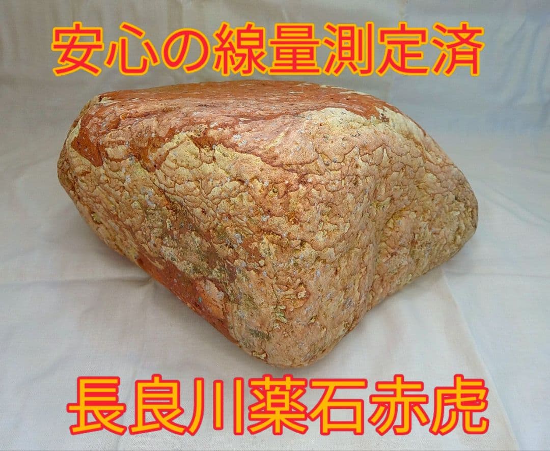 家宝級!!長良川薬石赤虎(1) 家宝級!!長良川薬石赤虎(1)