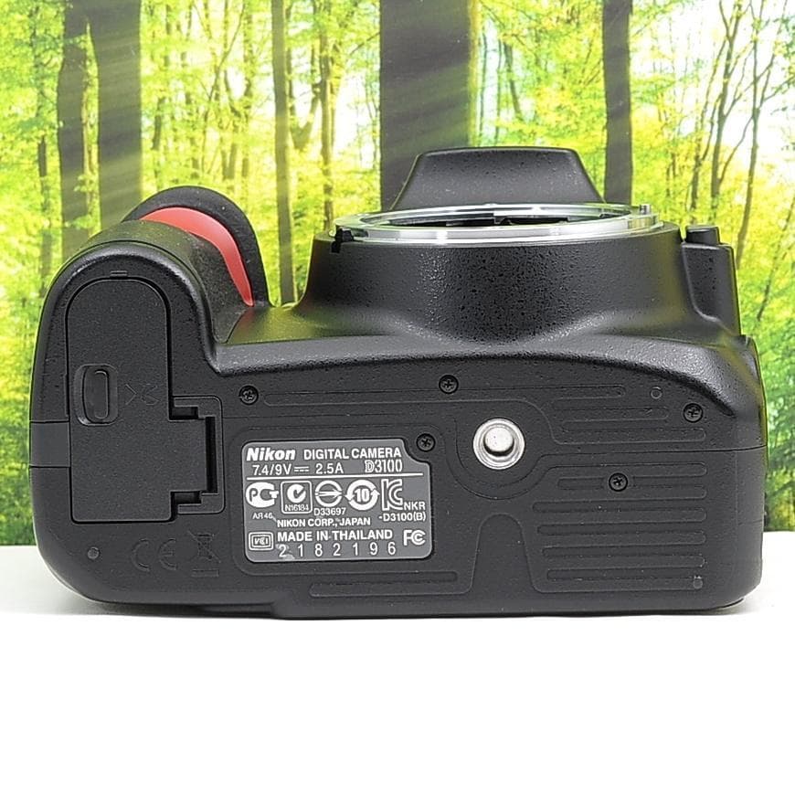 Nikon D3100☆スマホ転送OK☆ガイド機能つきカメラ♪4178