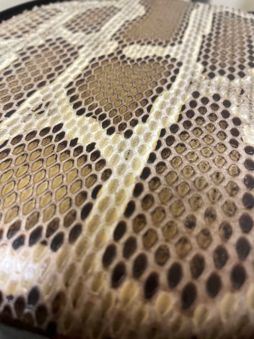 みっこ様専用】三味線本体 蛇皮 網目模様 セミハードケース、スタンド