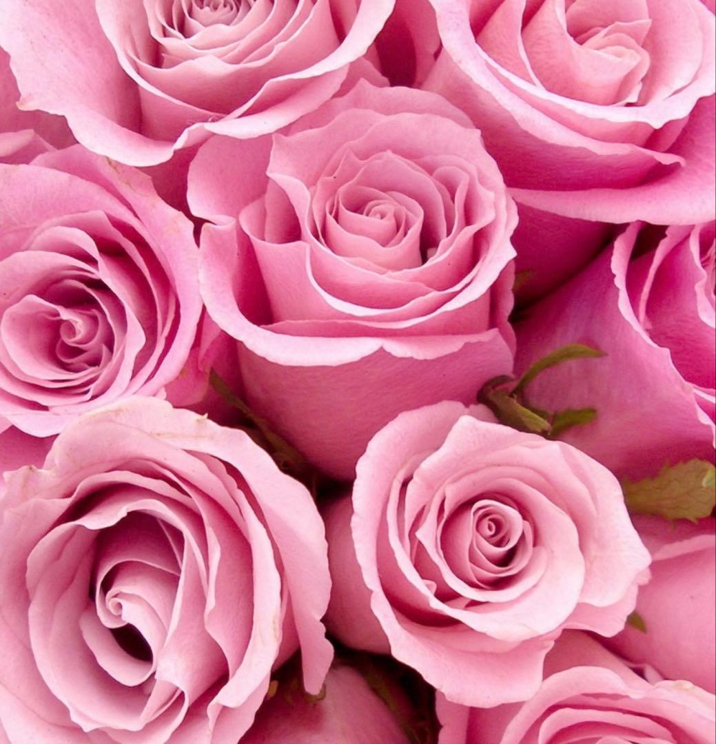 mikittyさま専用 Make Up Co., Ltd. / Nissan Fairlady Z Customized Edition 2024