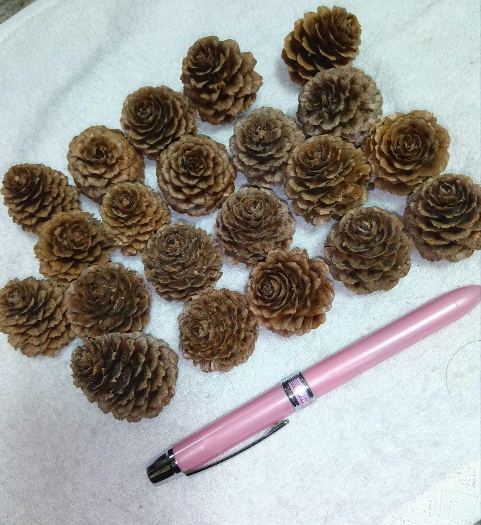 カラマツ 松ぼっくり 特大21個 リース 飾り付け クリスマス 4cm 前後