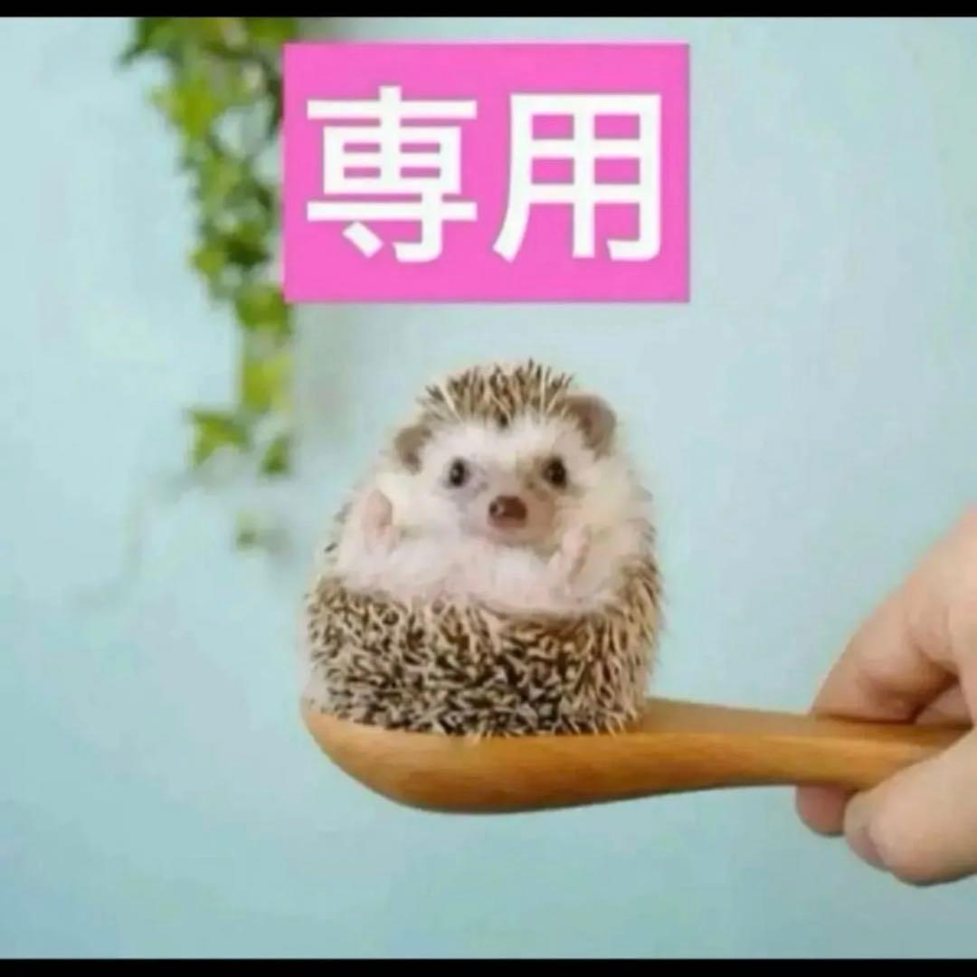 2点、ニュイ、アンテグラール BILLY'S ENT 大阪南堀江 | . Launch on 1.28 wed @newbalance U2010