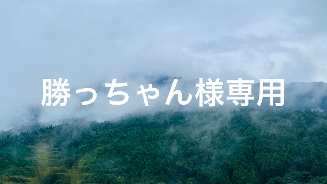 勝っちゃん チャンプロード×単車の虎 - 旧車ガールズ！vol.31 つかっちゃん.comサン