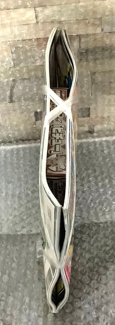 ポケモン モンコレ ピチュー フィギュア 雑誌 付録 202503112246