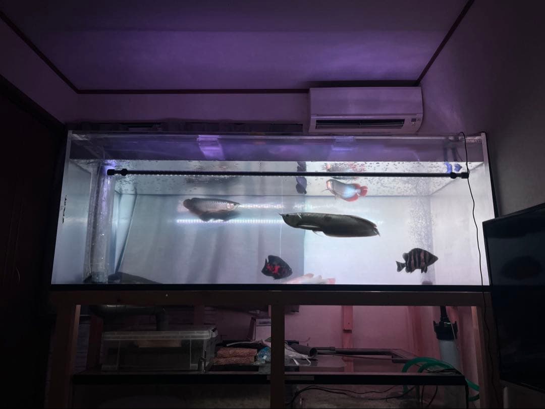 大型アクリル水槽 横幅200cm縦75 奥行100 自宅まで引取り可能な方限定 水槽 アクリル水槽 750x450x450mm 板厚6mm 底5mm 75cm水槽 新品 国産板