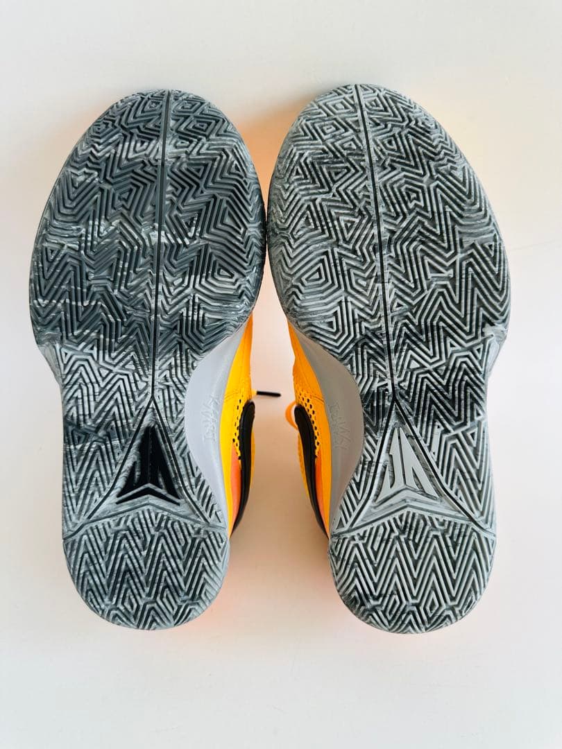 シューズ(男性用) Nike JA1 PE EP 24.5cm