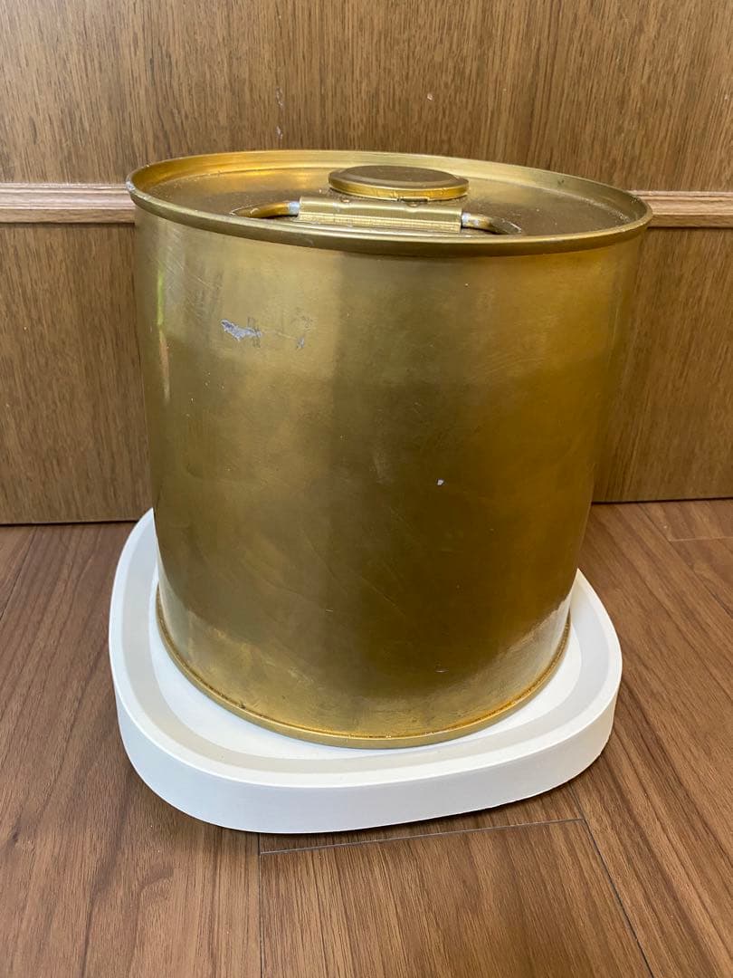 メドベッドテスラ缶大 テスラバイオヒーリング社メドベッド