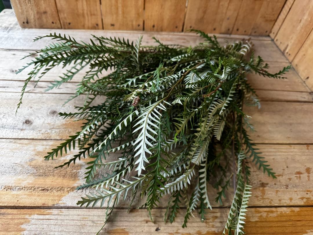 ❤️アトリエ＊リトルジェム❤️様 リクエスト 5点 まとめ商品の通販は