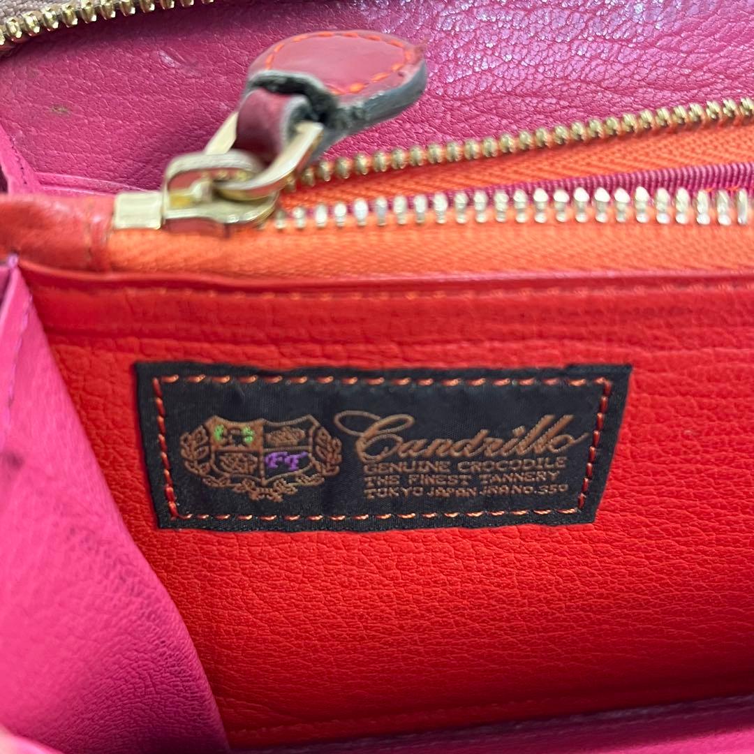 COVINILE チビナイル クロコダイル 大容量 長財布 高級