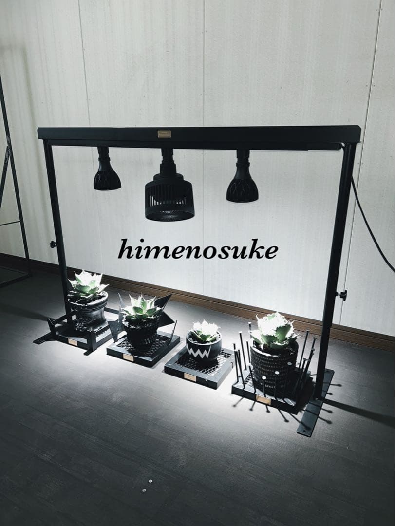 ☆送料込み☆水受けトレー付アイアン植物棚 即購入OK アガベ 塊根 什器