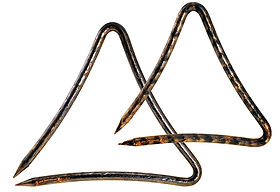 25th Anniversary Product | Black Swamp