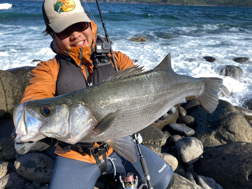 Empinado91S+Rev2｜エンピナード（Empinado91S｜108S） | TRANSCENDENCE